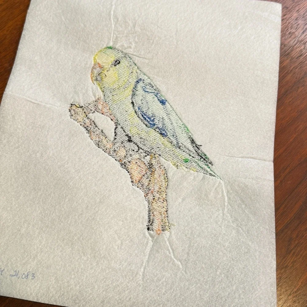 VTG Green Parrot Bird Wildlife Portrait Hand-Embroidered Applique Sew On